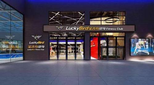 金吉鸟最新爆料图片高清,惊艳瞬间尽收眼底 第3张 金吉鸟最新爆料图片高清,惊艳瞬间尽收眼底 第3张