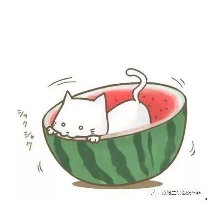 娱乐吃瓜群头像图片高清,趣味横生的视觉盛宴  第2张